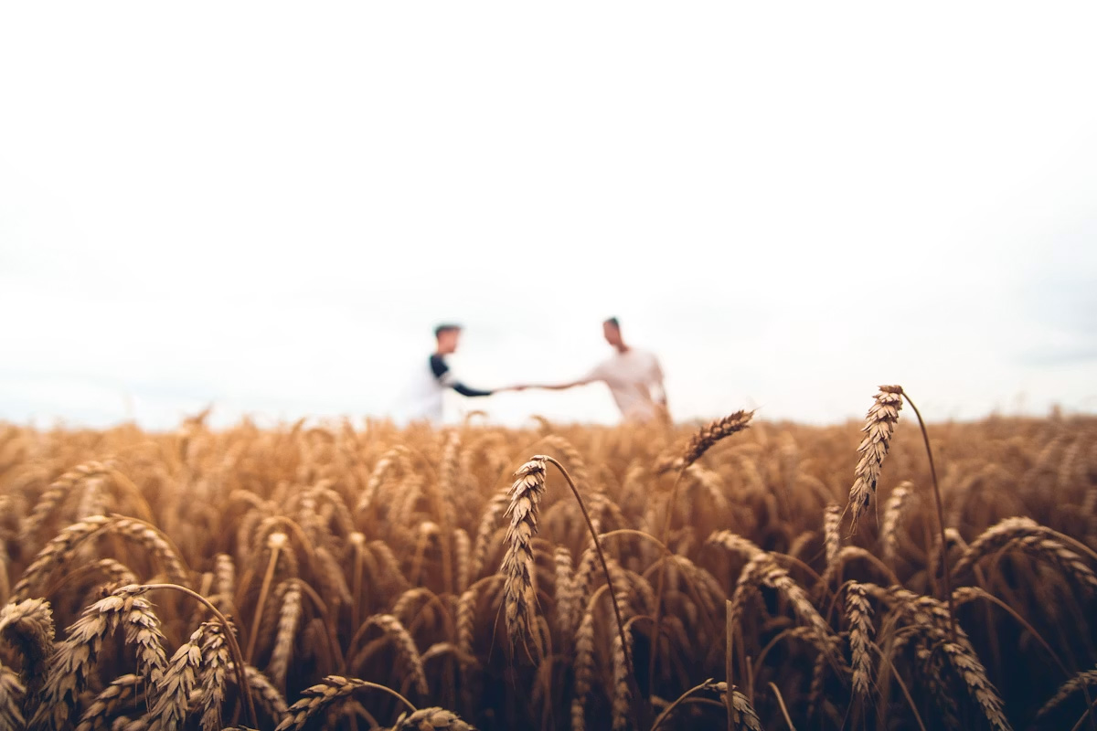 Advanced Seed Research Program
